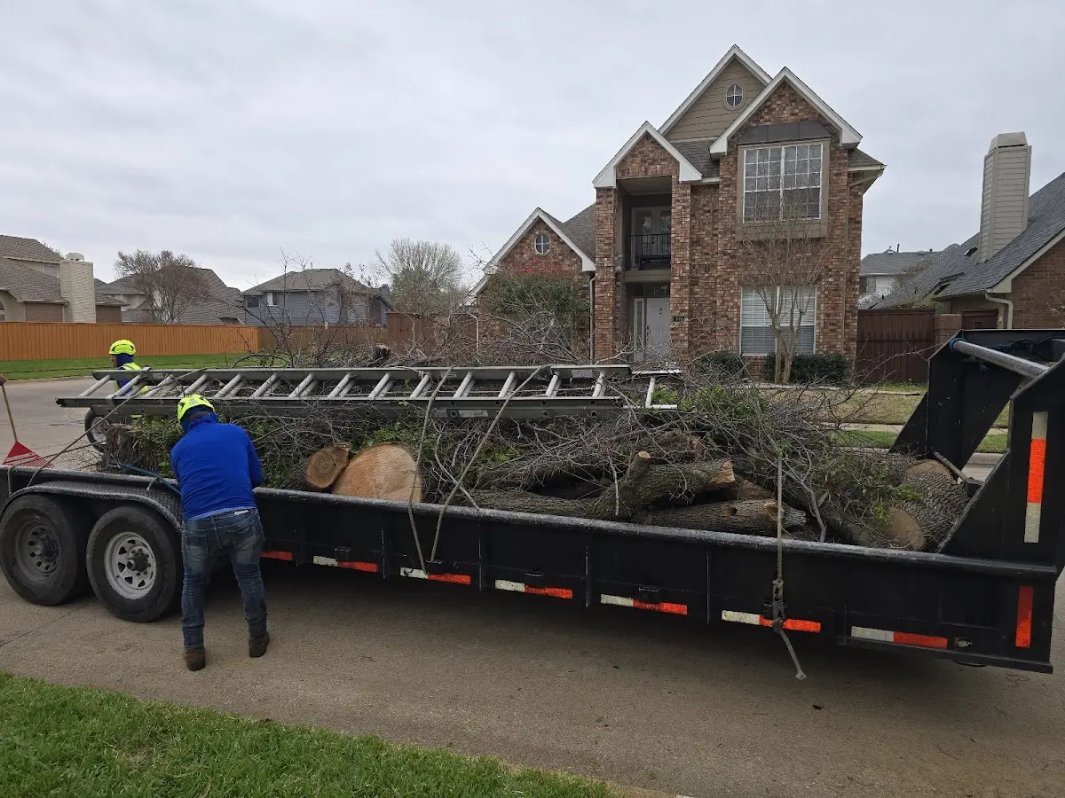 Expert Lot Clearing with proper safety equipment in Cushing
